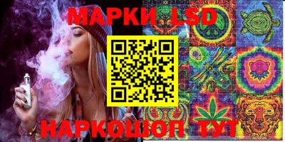 индика Партизанск