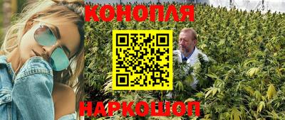 индика Партизанск