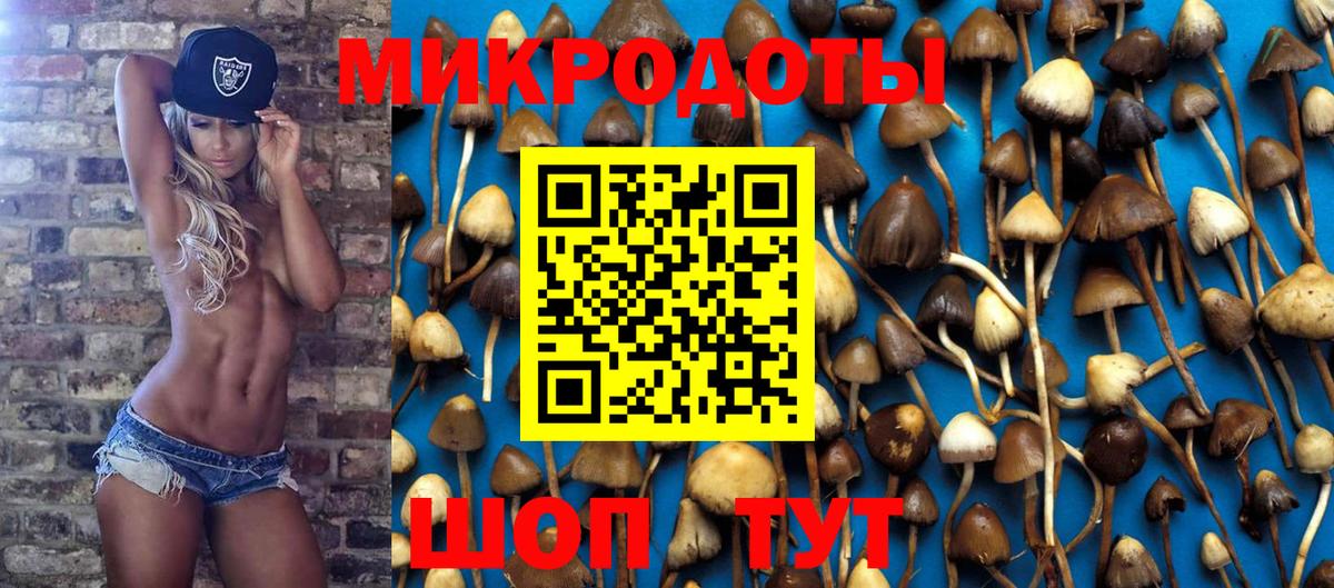 Псилоцибиновые грибы Magic Shrooms  Вход с VPN  Псилоцибиновые грибы MAGIC MUSHROOMS  Саратов 