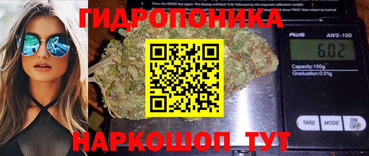 Каннабис ГИДРОПОН Саратов